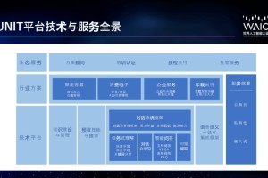  哈曼公开质疑VAR技术使用标准  